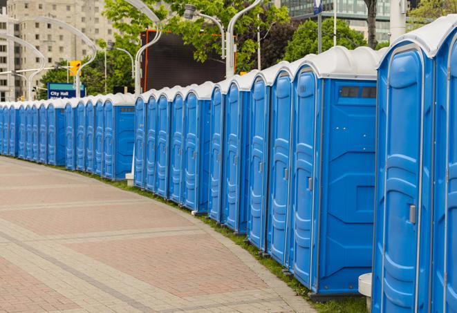 hygienic portable restrooms lined up at a music festival, providing comfort and convenience for attendees in Wallington NJ